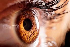 Ocuprime healthy eye and vision supplement